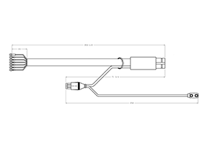 HARNESS - Aurora Parts to Go